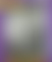 Presentación de la 'Revista del Museo de Winifreda'