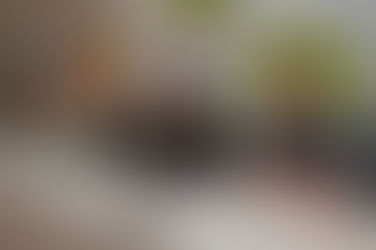 Comenzó una nueva edición del Aprender a Gobernar