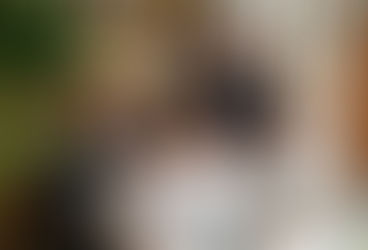 Winifredenses viven la cuarentena en España, en la isla de Mallorca