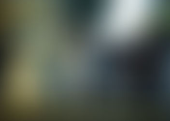 Winifreda: Atención a jubilados en agencia bancaria fue ágil y ordenada