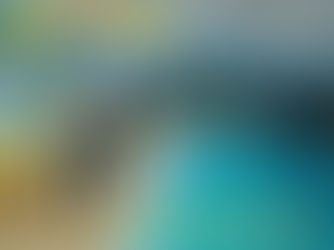 Clases de natación en Mauricio Mayer