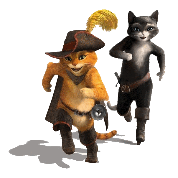 cats travelers