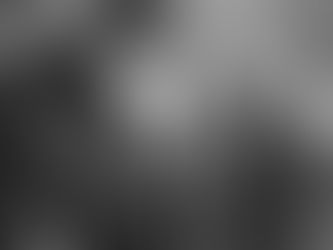 La Familia Vicentina tiene un nuevo Santo