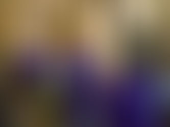 Se renueva la comunidad de la Medalla Milagrosa.