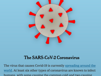 COVID-19: About the Coronavirus