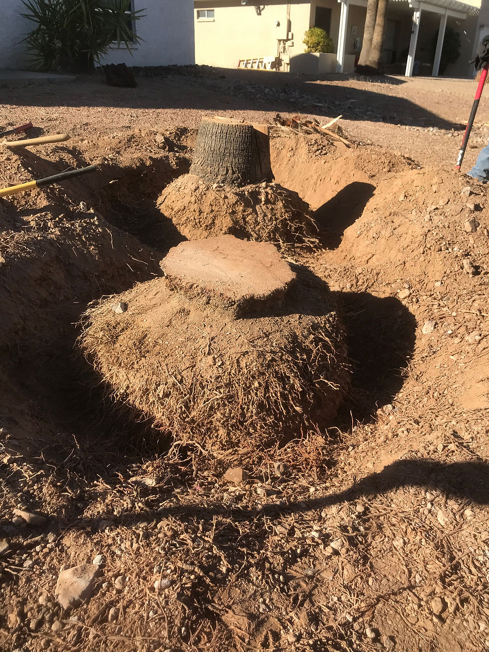 Stump removal