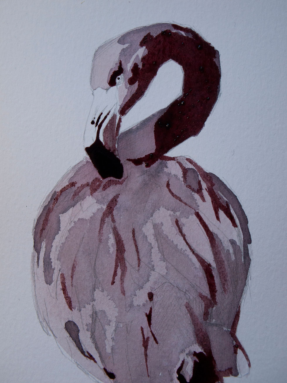 Thumbnail: Flamingo