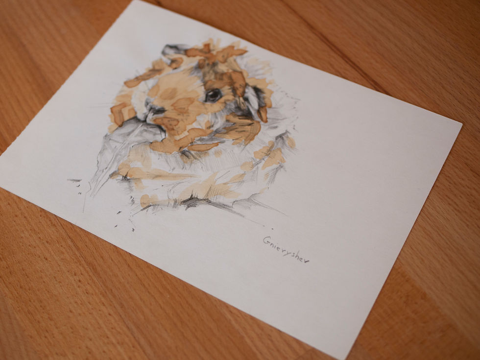 Thumbnail: Guinea pig