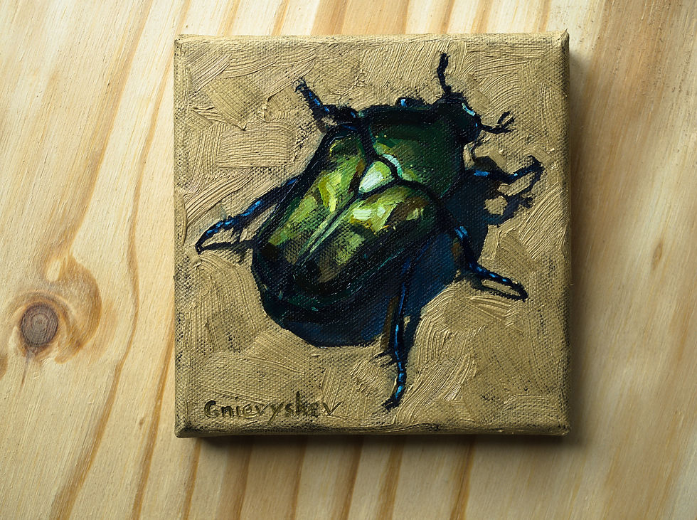 Miniaturbild: Rosenkäfer