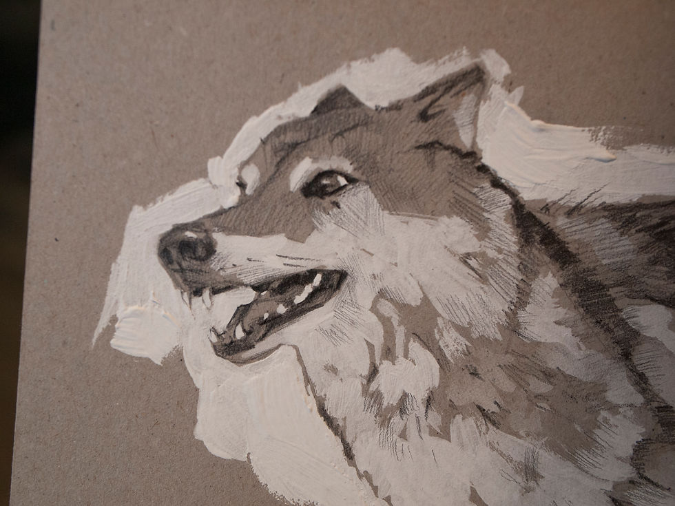 Miniaturbild: Wolf
