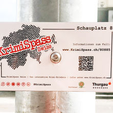 Einmal in einem Kriminalfall ermitteln?