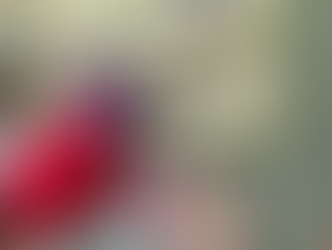 2026 The Year of Fire Horse