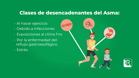 Proyecto de Referencia_Animación
