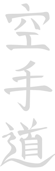 Japonský znak karate-do světlý.