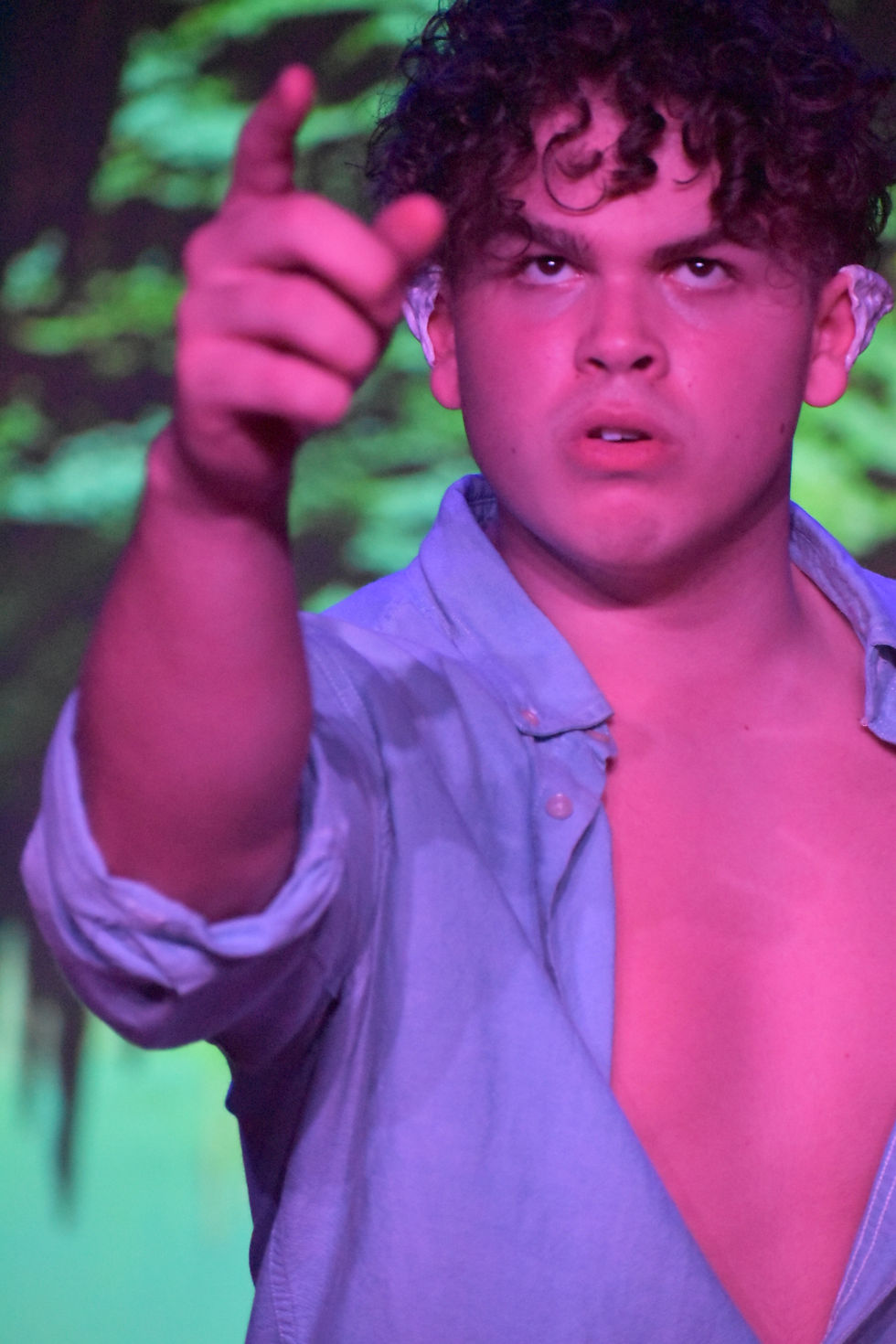 Realization | Bat Boy: The Musical | Bucyrus Little Theatre