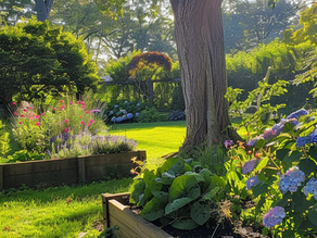 Eternal Sunshine: The Magic of Hazy Summer Days