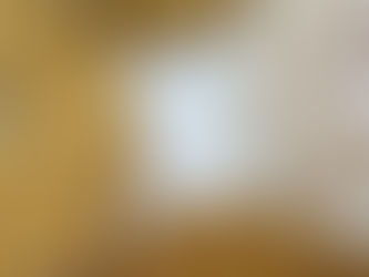 Sunflower Quilt Fabrics