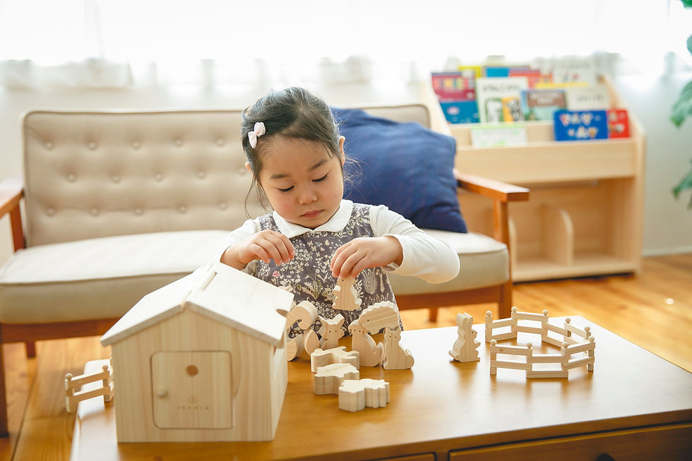 サムネイル： アイコニーハウス