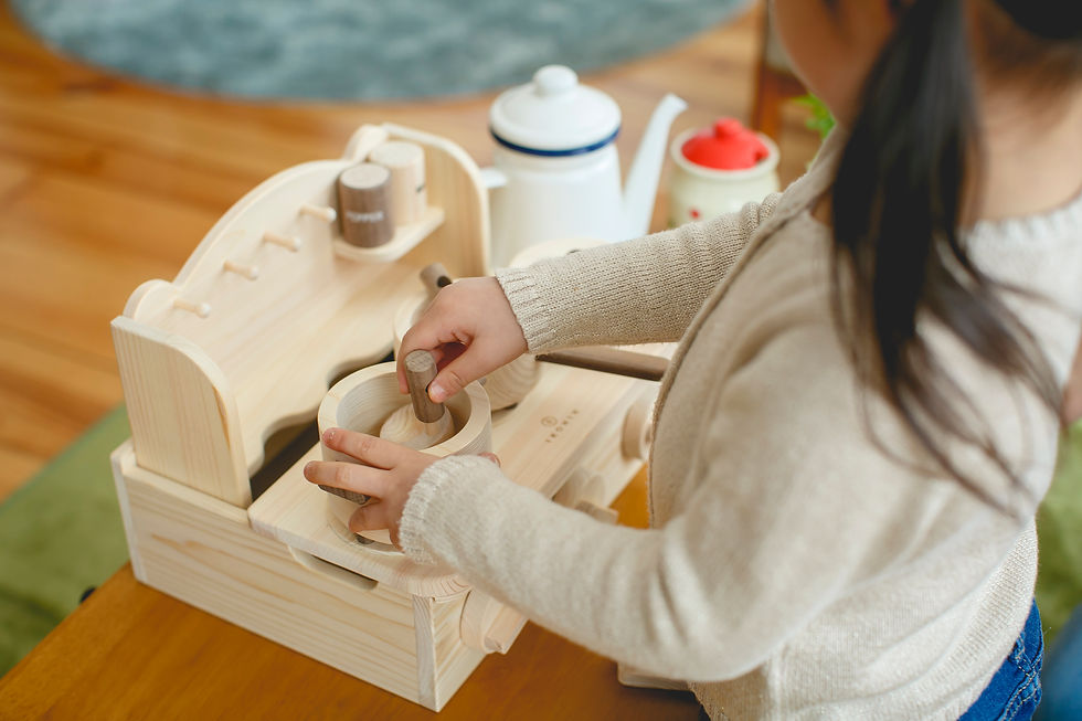 サムネイル： 福島製材が販売するIKONIHミニキッチン