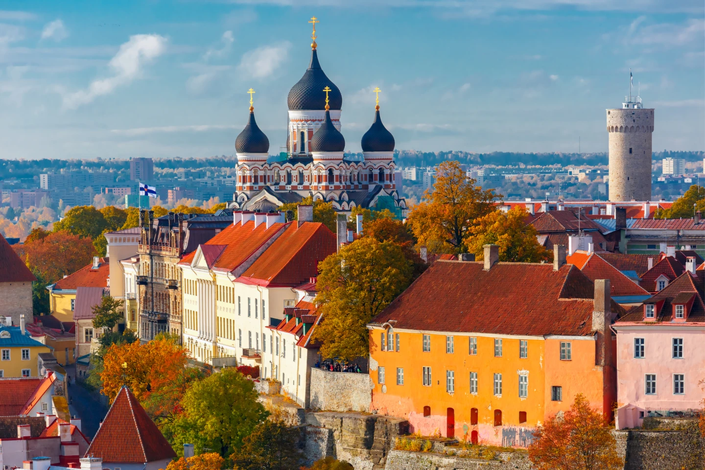shutterstock_331780052-kavalenkava.webp