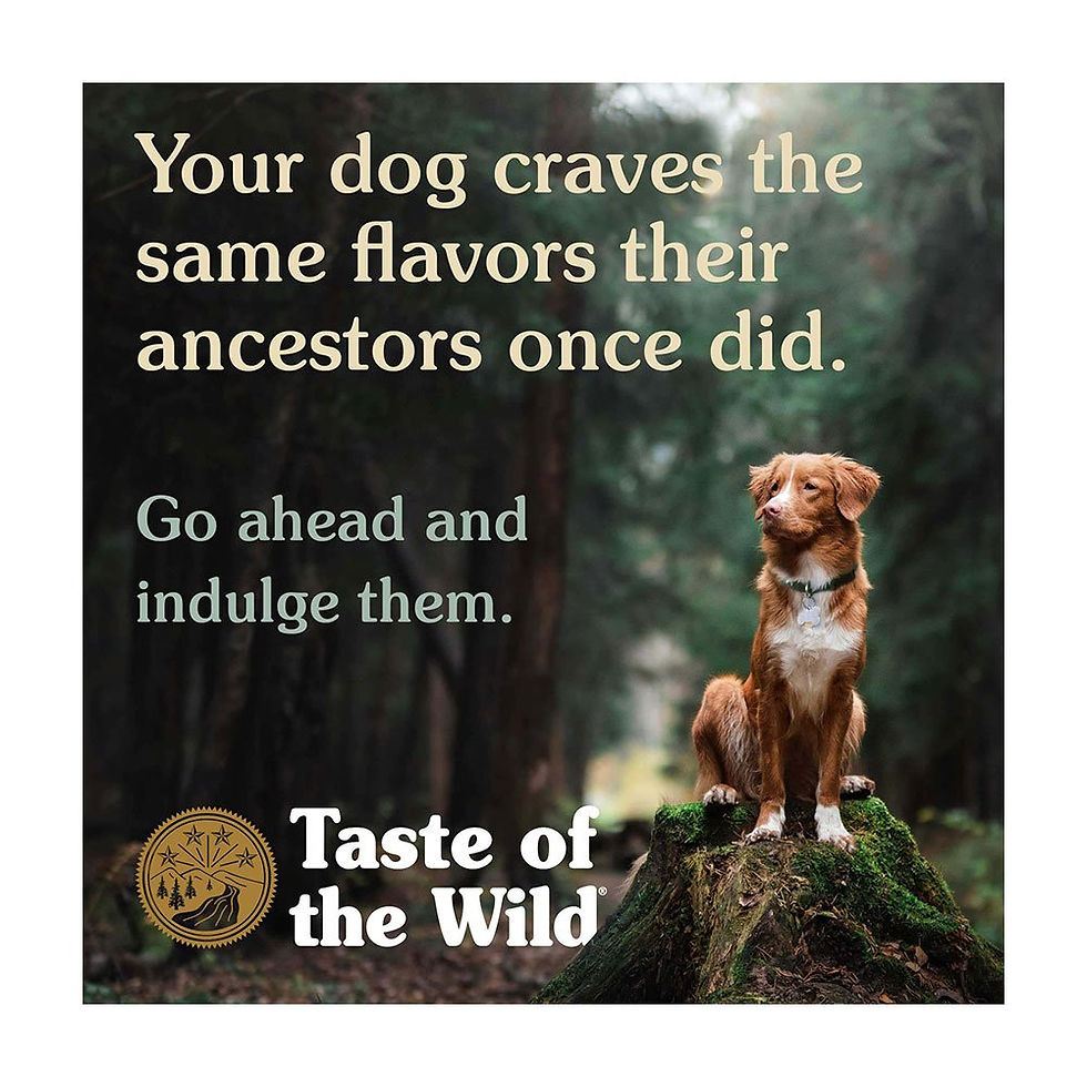 Thumbnail: Taste of the Wild® Pine Forest® Venison and Legumes-in store/locker pickup only 