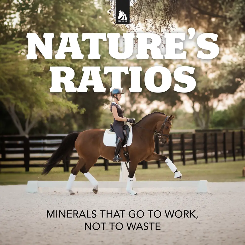 Thumbnail: Daily Red® Crushed™ Garlic - Mineral Supplement for Horses