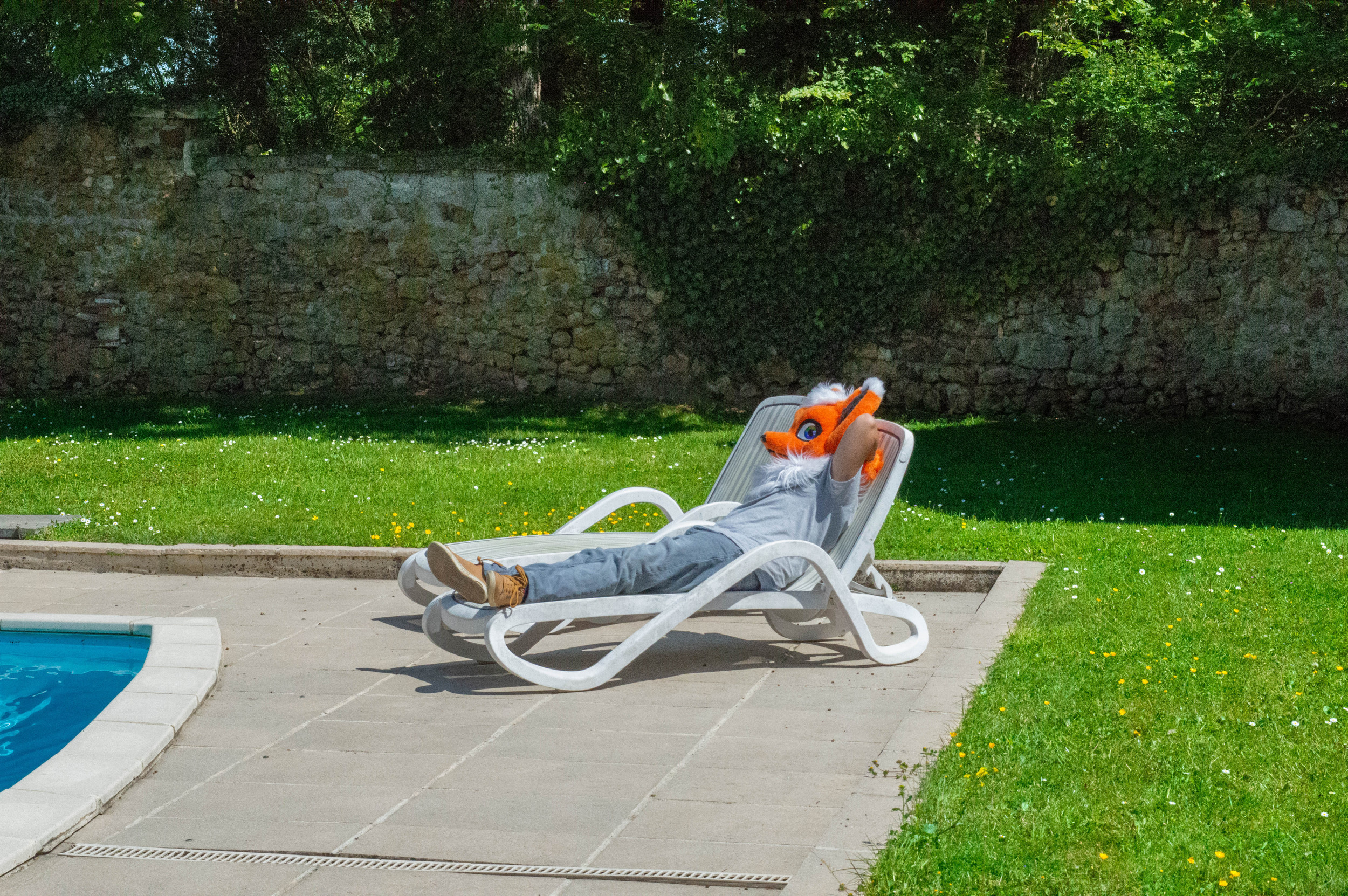 Acceuil | Pacify Fonce Furry & Compagnie