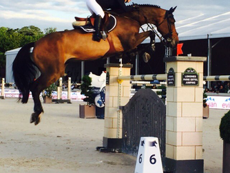 Flying Dieudonné at LGCT in Paris