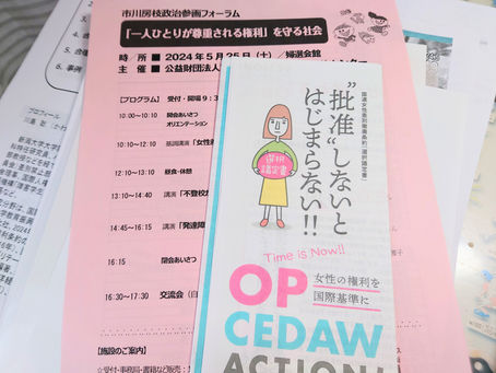 女性差別撤廃条約選択議定書の批准について