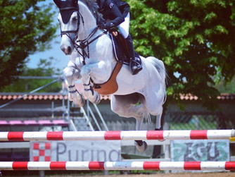 Great placements in Italy