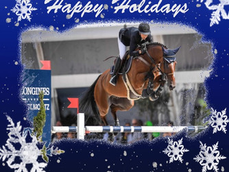 HAPPY HOLIDAYS !!!!