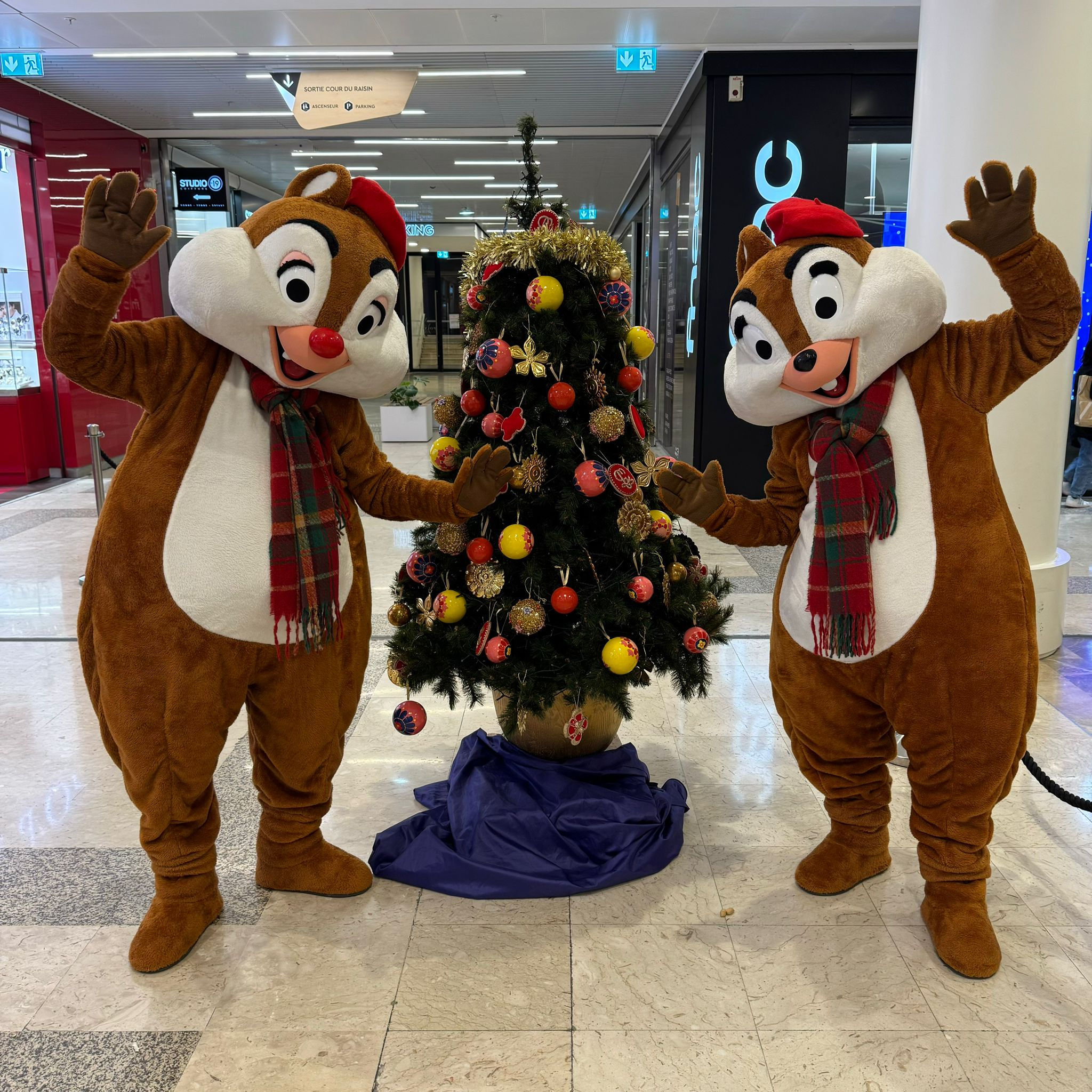 Mascottes Tic et Tac - Modèle RCD