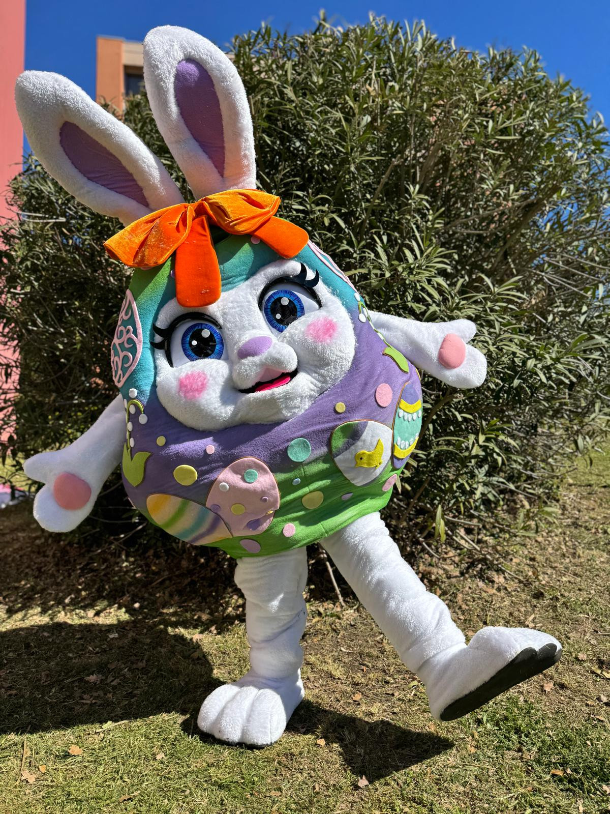 Achat Mascotte Lapin de Pâques