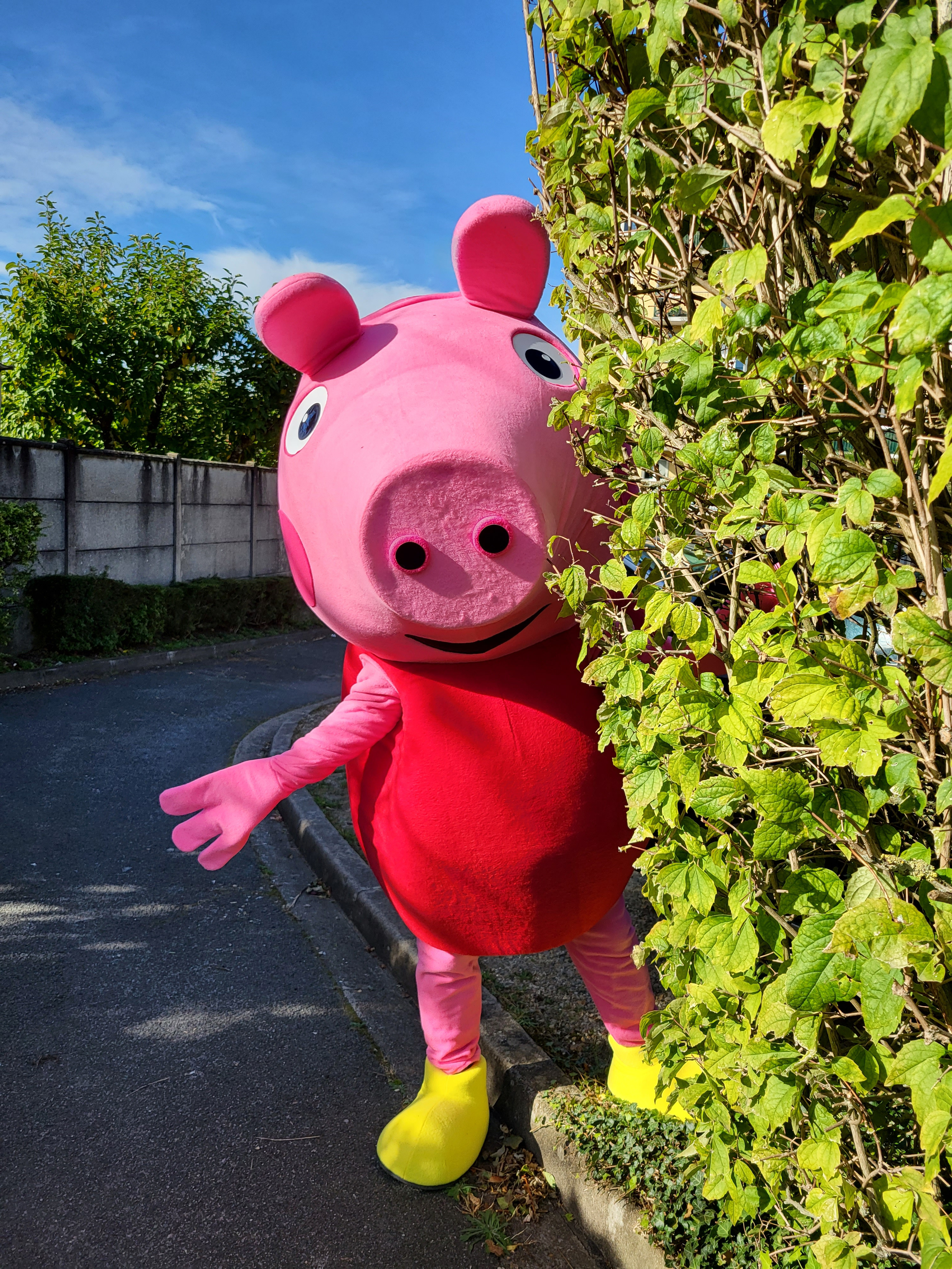Mascotte Peppa Pig – Modèle JDR | Costume mascotte professionnel à vendre