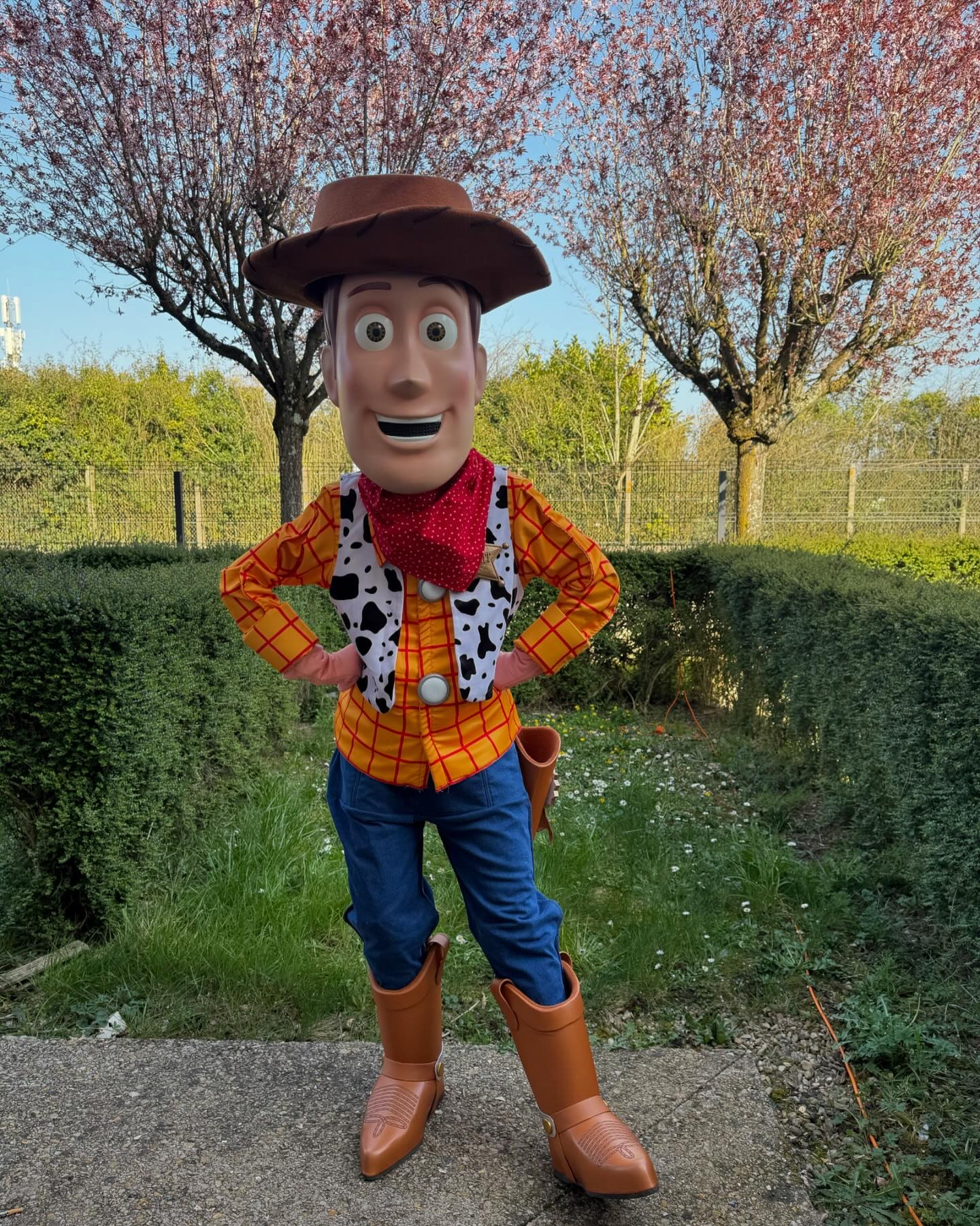 Mascotte Woody Toy Story - Tête dure – Modèle RCDECP