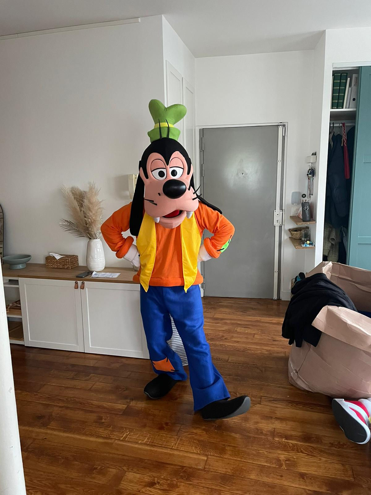 Achat mascotte Dingo