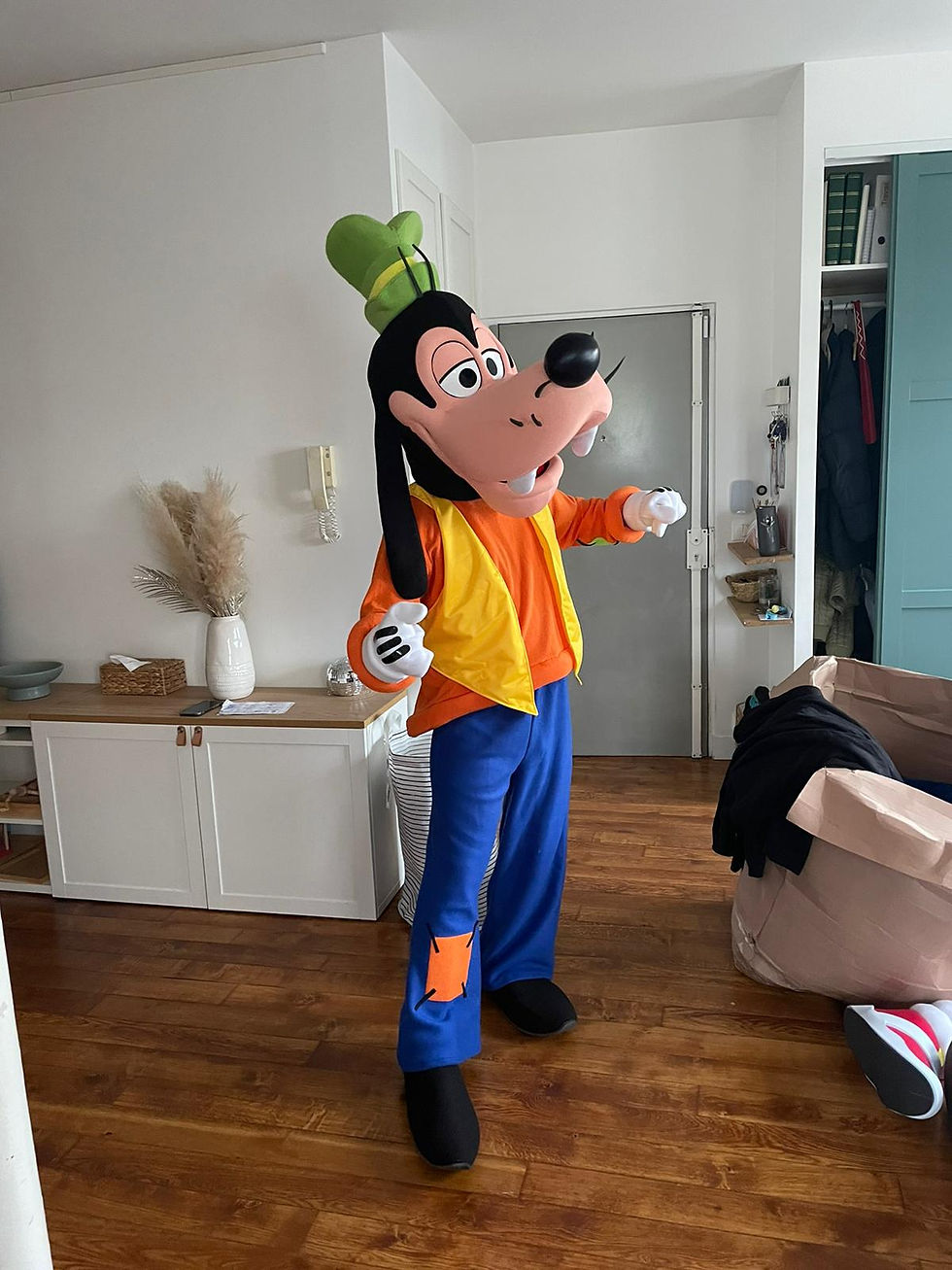 Miniature : Achat mascotte Dingo