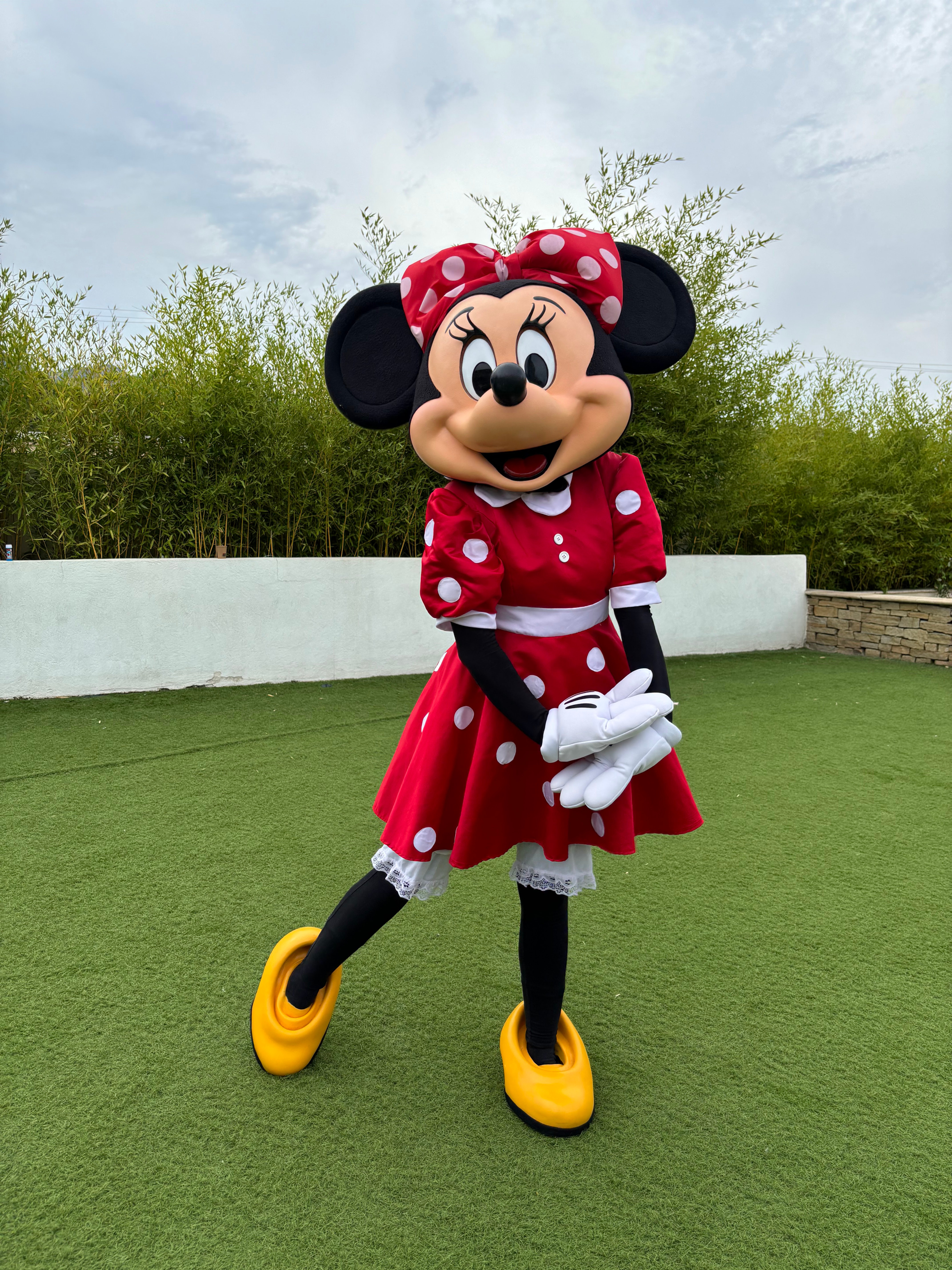 Mascotte Minnie Premium Flexway - Model DMN