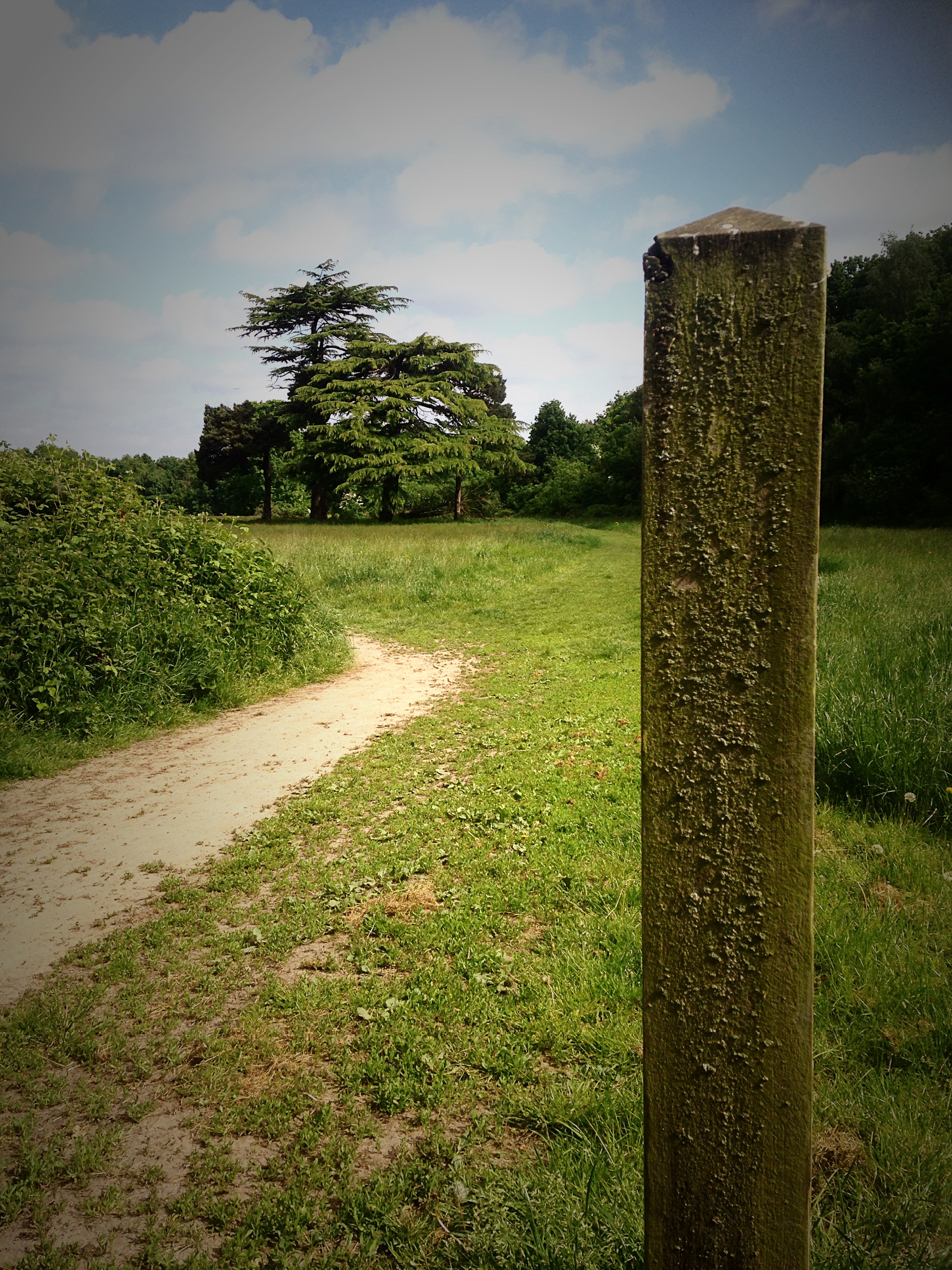 Grounds paths