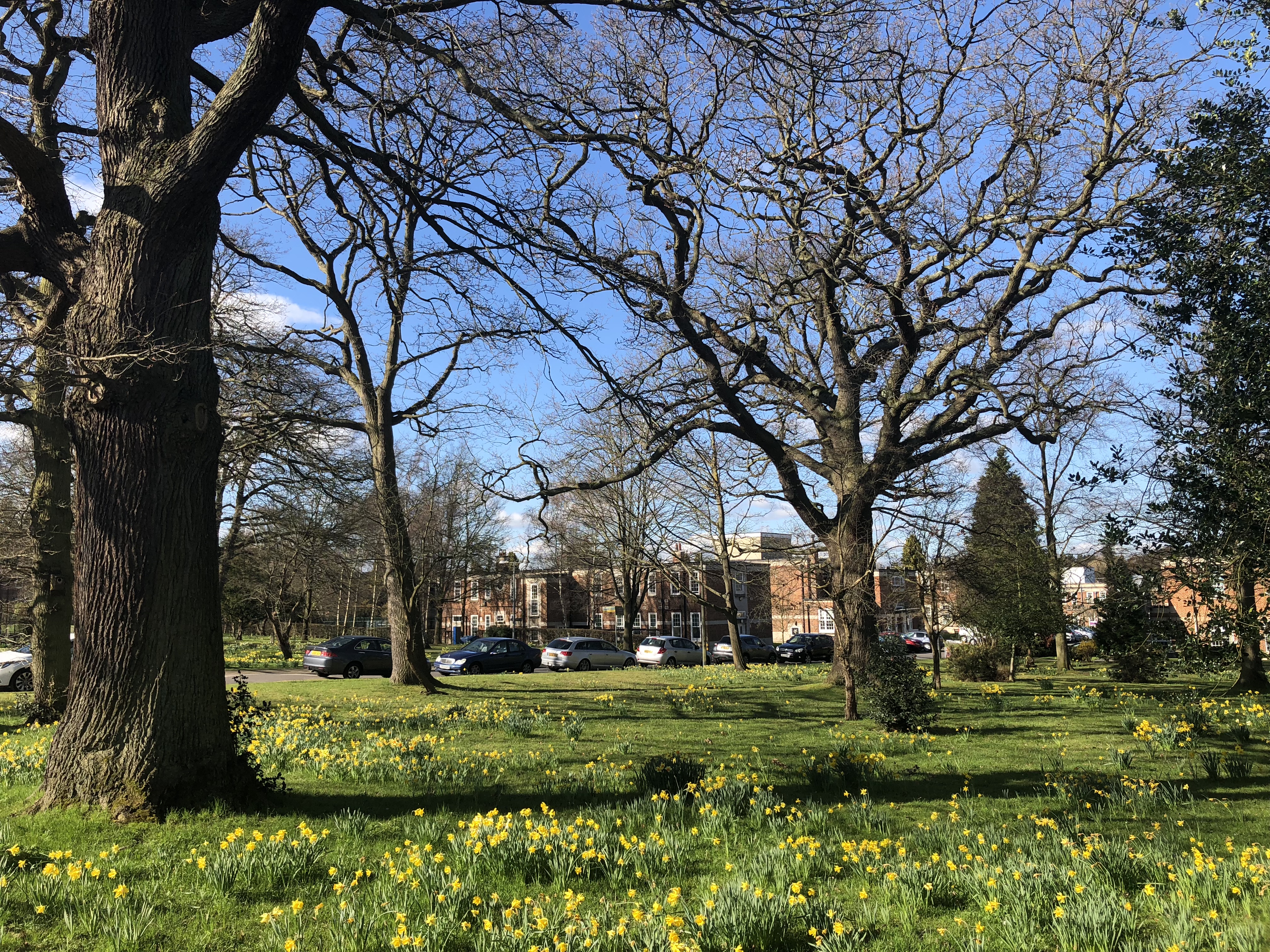Grounds
