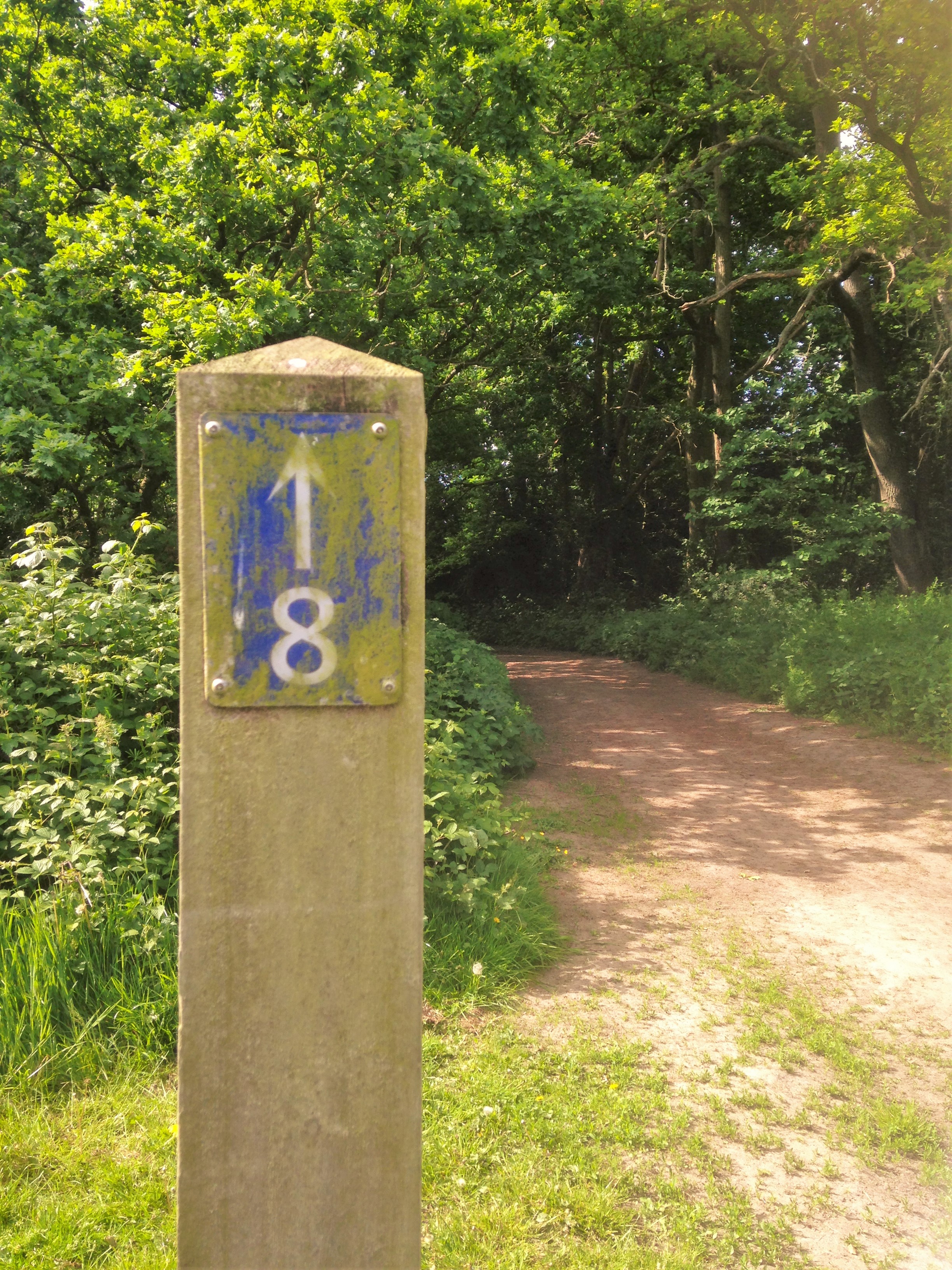 guided walks