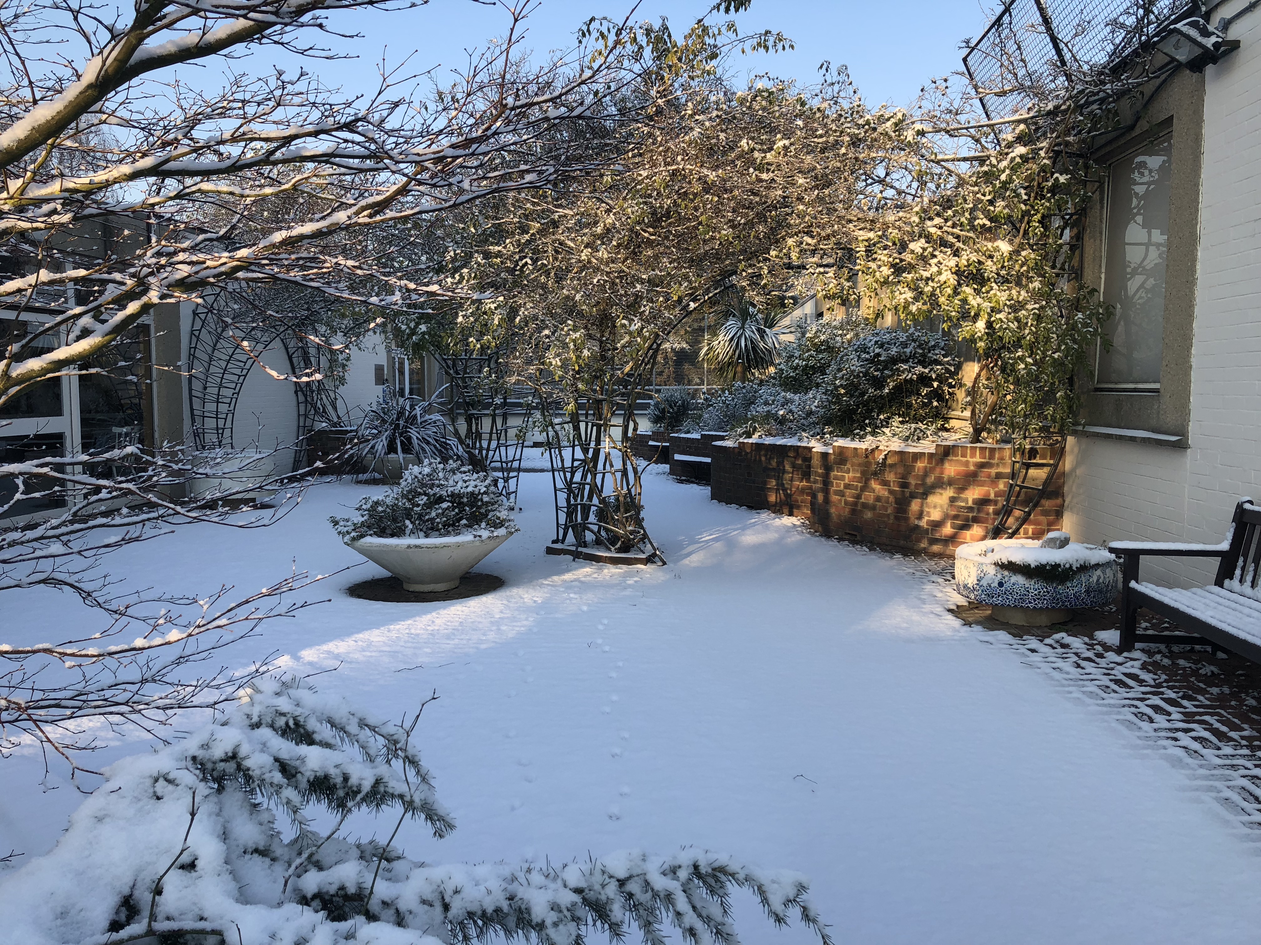 Winter