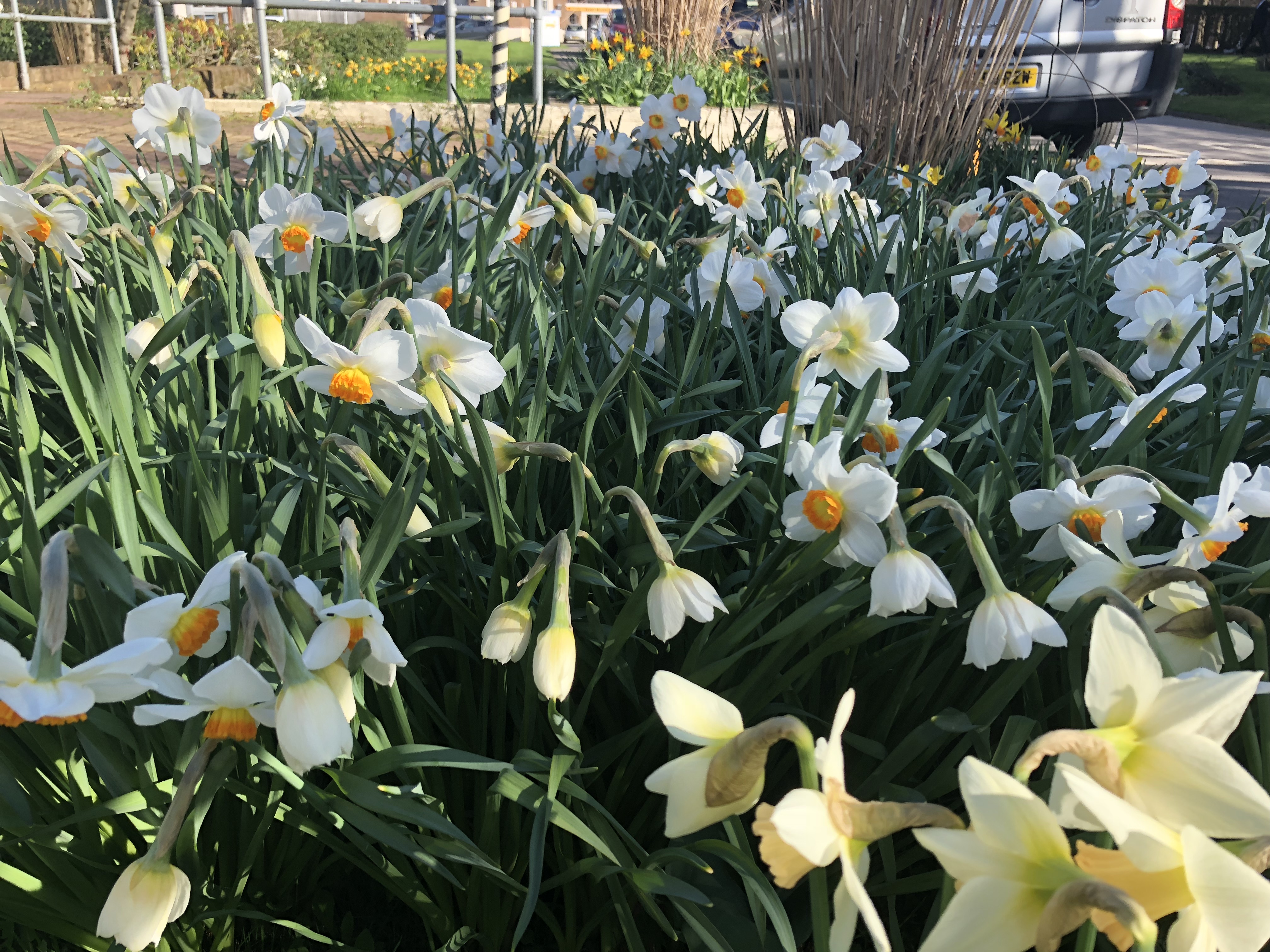 Spring is here