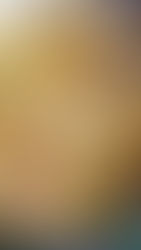 Witloof met rauwe hesp en saus van blauwe kaas