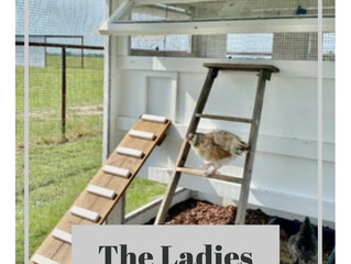 The Ladies | Hen House Sign | Free SVG