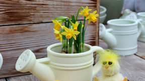 Voorjaarscollectie🐥🌱🌼