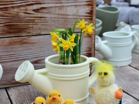 Voorjaarscollectie🐥🌱🌼