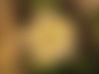 31/12 open van 9-12u en 13-17 u