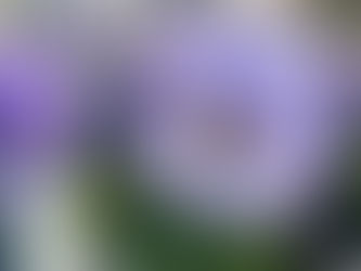 Weekend van de klant