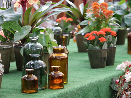 herfst in geuren en kleuren.